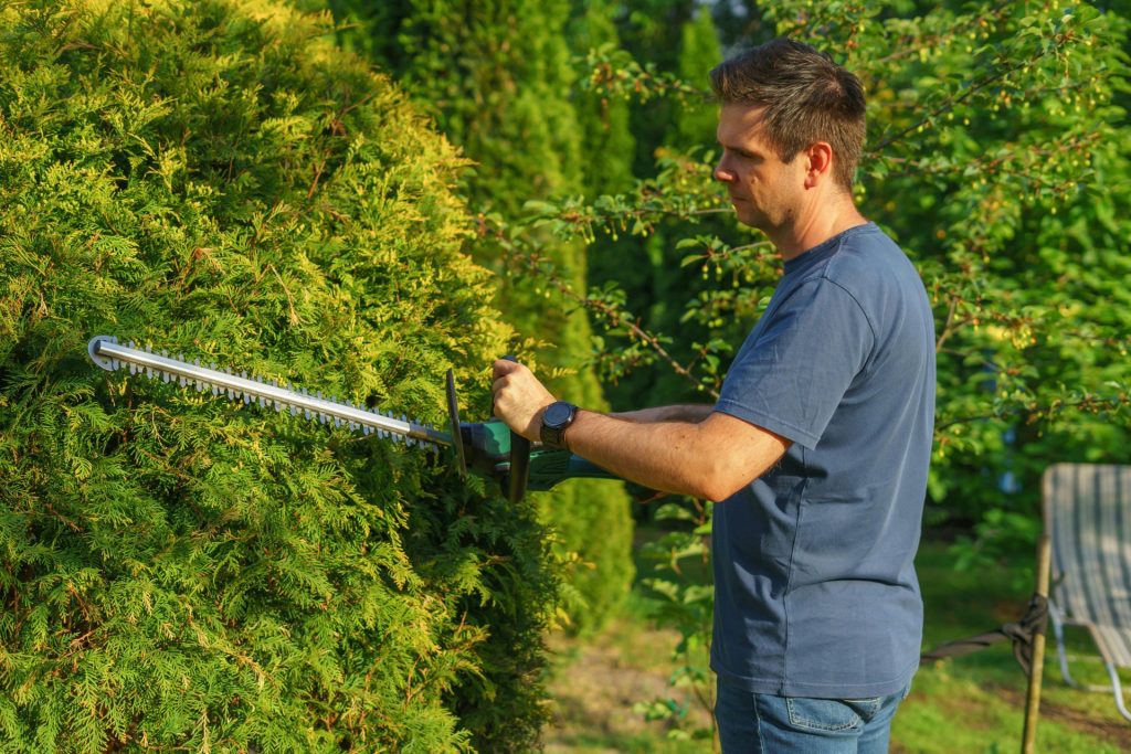 Ein Mann schneidet eine Hecke mit einer elektrischen Heckenschere in einem sonnigen Garten.
