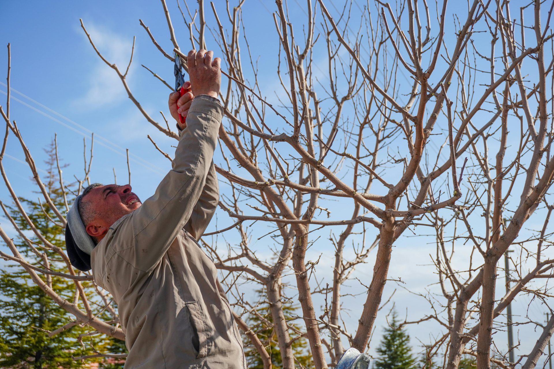 Ein erwachsener Mann beschneidet im Frühling kahle Bäume in einem Garten in Niğde, Türkei.